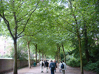dsc00674_thumb.jpg