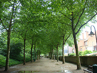 dsc00675_thumb.jpg