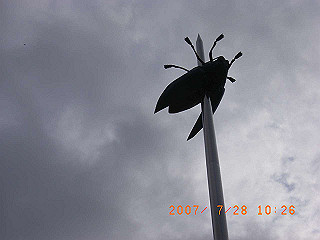 rimg0052_thumb.jpg