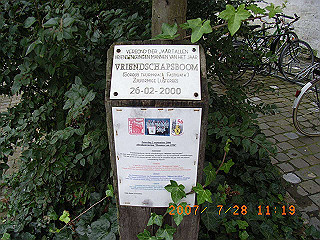 rimg0118_thumb.jpg