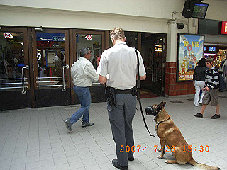 rimg0202_thumb.jpg