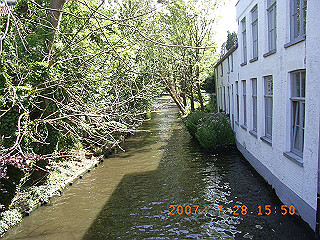 rimg0220_thumb.jpg
