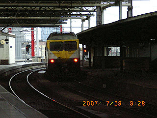 rimg0111_thumb.jpg