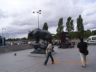 rimg0360_thumb.jpg
