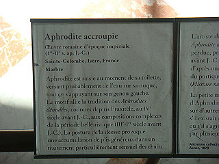 dsc01174_thumb.jpg