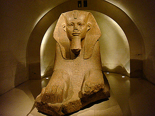dsc01197_thumb.jpg
