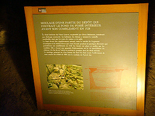 dsc01208_thumb.jpg