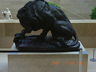 rimg0707_thumb.jpg
