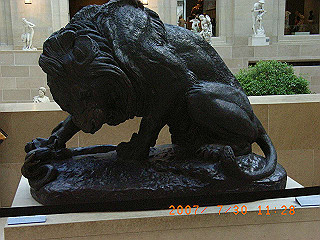 rimg0708_thumb.jpg