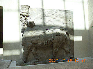 rimg0729_thumb.jpg