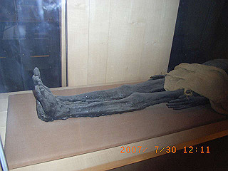 rimg1038_thumb.jpg