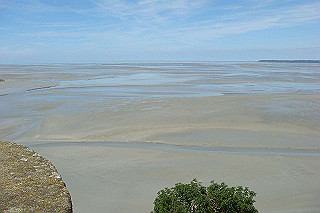 dsc01359_thumb.jpg