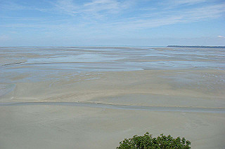 dsc01361_thumb.jpg
