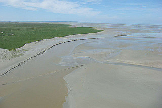 dsc01362_thumb.jpg