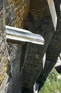 dsc01368_thumb.jpg