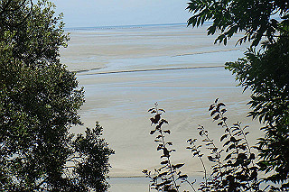 dsc01466_thumb.jpg