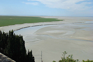 dsc01467_thumb.jpg