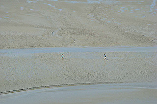 dsc01482_thumb.jpg