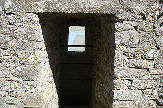 dsc01487_thumb.jpg