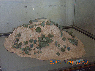 rimg1098_thumb.jpg