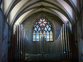 dsc01600_thumb.jpg
