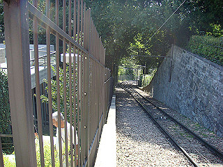 dsc01633_thumb.jpg