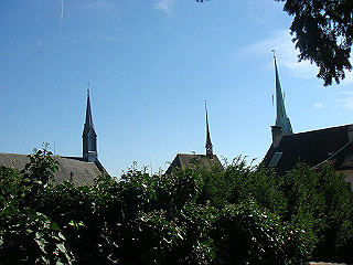 dsc01642_thumb.jpg