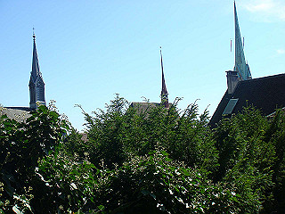 dsc01643_thumb.jpg