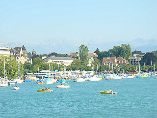 dsc01662_thumb.jpg