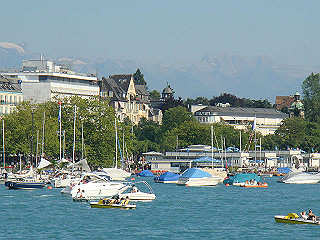 dsc01664_thumb.jpg
