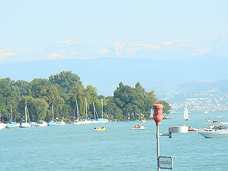 dsc01666_thumb.jpg
