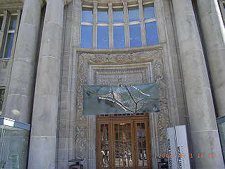rimg0609_thumb.jpg