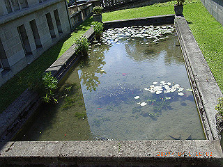 rimg0611_thumb.jpg