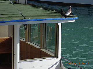 rimg0705_thumb.jpg