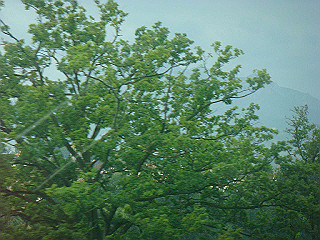 dsc01714_thumb.jpg