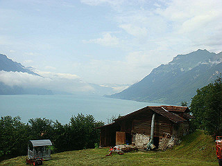 dsc01764_thumb.jpg