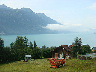 dsc01765_thumb.jpg