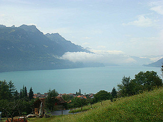 dsc01766_thumb.jpg