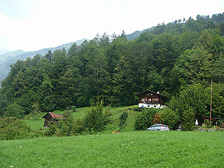 dsc01768_thumb.jpg