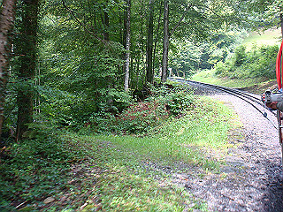 dsc01769_thumb.jpg