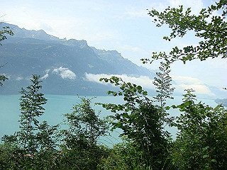dsc01773_thumb.jpg