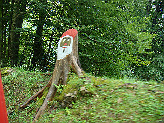 dsc01775_thumb.jpg