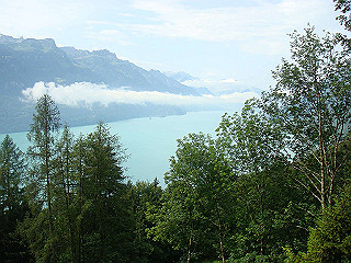 dsc01778_thumb.jpg