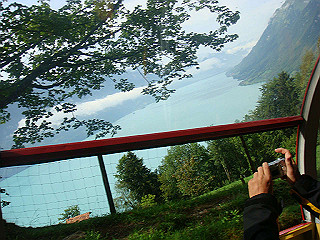 dsc01779_thumb.jpg
