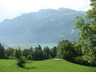 dsc01781_thumb.jpg