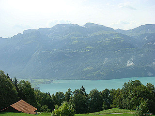 dsc01783_thumb.jpg