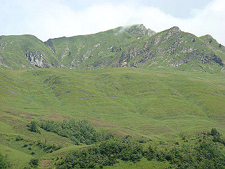 dsc01797_thumb.jpg