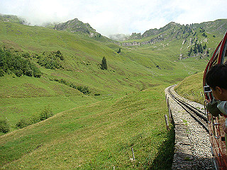 dsc01799_thumb.jpg