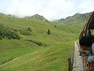 dsc01800_thumb.jpg
