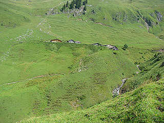 dsc01803_thumb.jpg